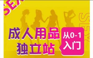 成人用品独立站从0-1入门，成品独立站运营全流程教学，七大好卖成品独立站推荐-开心分享网