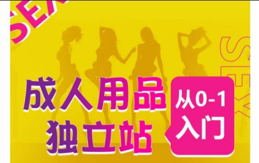 成人用品独立站从0-1入门，成品独立站运营全流程教学，七大好卖成品独立站推荐-开心分享网