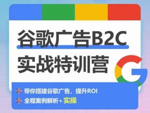 谷歌广告B2C实战特训营,500+谷歌账户总结经验,实战演示如何从0-1搭建广告账户-开心分享网