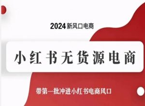 2024新风口电商，小红书无货源电商，带第一批冲进小红书电商风口-开心分享网