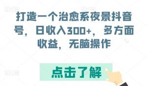 打造一个治愈系夜景抖音号，日收入300+，多方面收益，无脑操作【揭秘】-开心分享网