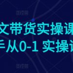 AI图文带货实操课，新手从0-1 实操课