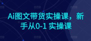 Ai图文带货实操课,新手从0-1 实操课-开心分享网