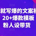 看完就写爆的文案模板课，20+爆款模板  涨粉人设带货