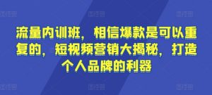 流量内训班,相信爆款是可以重复的,短视频营销大揭秘,打造个人品牌的利器-开心分享网
