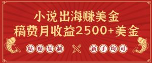 小说出海赚美金,稿费月收益2500+美金,仅需chatgpt粘贴复制,新手也能玩转【揭秘】-开心分享网