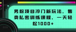 男粉项目冷门新玩法，售卖私密训练课程，一天轻松1000+【揭秘】-开心分享网