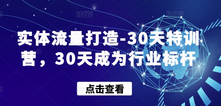 实体流量打造-30天特训营,30天成为行业标杆-开心分享网