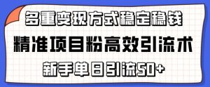 精准项目粉高效引流术,新手单日引流50+,多重变现方式稳定赚钱【揭秘】-开心分享网