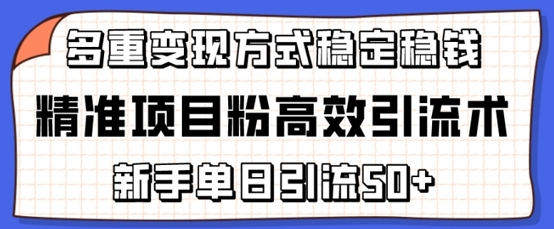 精准项目粉高效引流术,新手单日引流50+,多重变现方式稳定赚钱【揭秘】-开心分享网