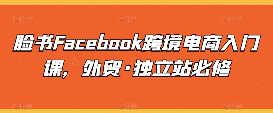 脸书Facebook跨境电商入门课,外贸·独立站必修-开心分享网