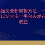 小说推文全新剪辑方法，一个视频可以结合多个平台去发布获取【揭秘】