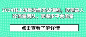 2024线上流量操盘实战课程,搭建高人效流量团队,掌握多平台流量-开心分享网