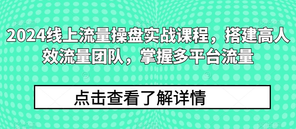 2024线上流量操盘实战课程,搭建高人效流量团队,掌握多平台流量-开心分享网