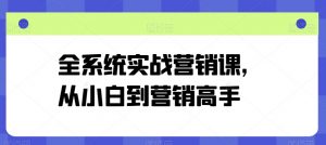全系统实战营销课,从小白到营销高手-开心分享网