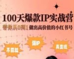 小红书100天爆款IP实战营，带你从0到1做出高价值的小红书号