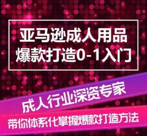 亚马逊成人用品爆款打造0-1入门,系统化讲解亚马逊成人用品爆款打造的流程-开心分享网