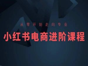 从零开始走向专业,小红书电商进阶课程-开心分享网