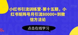 小红书引流训练营-第十五期,小红书矩阵号月引流80000+到微信方法论-开心分享网