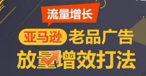 亚马逊流量增长-老品广告放量增效打法，循序渐进，打造更多TOP listing​-开心分享网