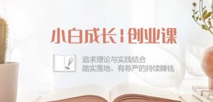 小白成长创业课:追求理论与实践结合,踏实落地,有尊严的持续赚钱-42节-开心分享网
