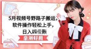 5月视频号野路子搬运，软件操作轻松上手，日入三位数【揭秘】-开心分享网