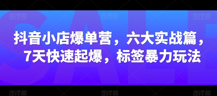 抖音小店爆单营,六大实战篇,7天快速起爆,标签暴力玩法-开心分享网
