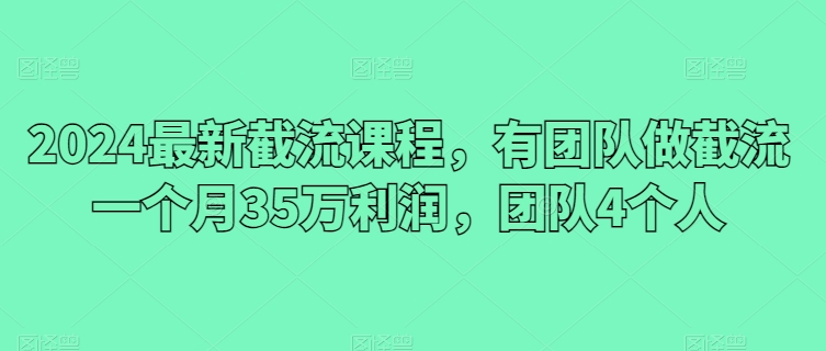 2024最新截流课程,有团队做截流一个月35万利润,团队4个人-开心分享网