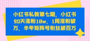 小红书私教第七期，小红书90天涨粉18w，1周涨粉破万，半年矩阵号粉丝破百万-开心分享网