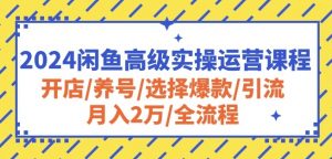 2024闲鱼高级实操运营课程:开店/养号/选择爆款/引流/月入2万/全流程-开心分享网