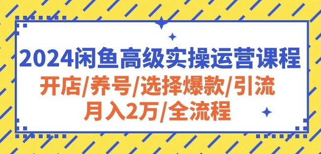2024闲鱼高级实操运营课程:开店/养号/选择爆款/引流/月入2万/全流程-开心分享网