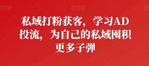私域打粉获客,学习AD投流,为自己的私域囤积更多子弹-开心分享网
