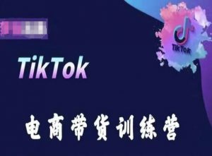 TikTok电商带货训练营,跟随时代潮流,跨境掘金-开心分享网