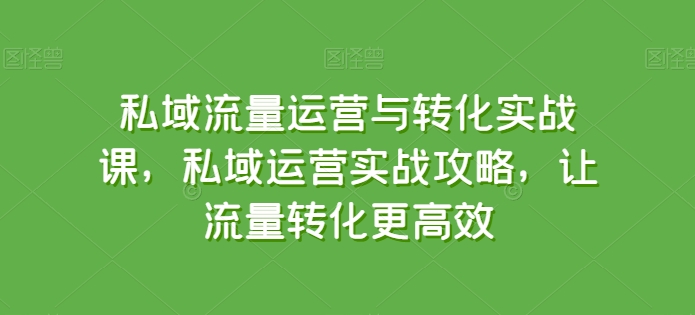 私域流量运营与转化实战课,私域运营实战攻略,让流量转化更高效-开心分享网