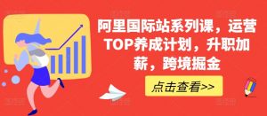 阿里国际站系列课,运营TOP养成计划,升职加薪,跨境掘金-开心分享网