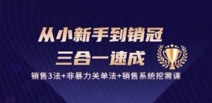 从小新手到销冠 三合一速成:销售3法+非暴力关单法+销售系统挖需课 (27节)-开心分享网