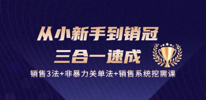 从小新手到销冠 三合一速成:销售3法+非暴力关单法+销售系统挖需课 (27节)-开心分享网