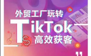 外贸工厂玩转TikTok高效获客,多种引流方式与账号定位技巧,拆解爆款短视频打造成功案例-开心分享网