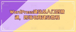 WordPress建站从入门到精通,跨境电商建站教程-开心分享网