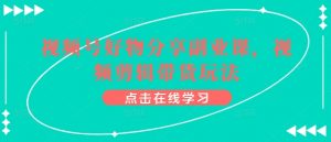 视频号好物分享副业课,视频剪辑带货玩法-开心分享网