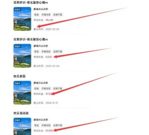 磁力聚星游戏副业陪跑训练营1.0,长期稳定项目,有人一周干了1K+-开心分享网