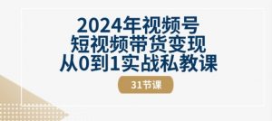 2024年视频号短视频带货变现从0到1实战私教课(31节视频课)-开心分享网