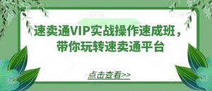 速卖通VIP实战操作速成班,带你玩转速卖通平台-开心分享网