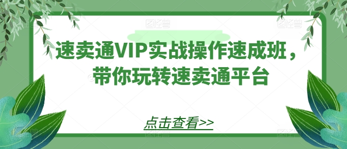 速卖通VIP实战操作速成班，带你玩转速卖通平台-开心分享网