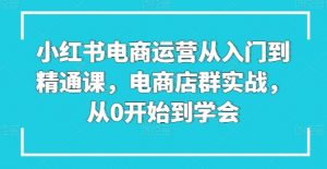 小红书电商运营从入门到精通课，电商店群实战，从0开始到学会-开心分享网