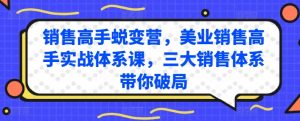 销售高手蜕变营，美业销售高手实战体系课，三大销售体系带你破局-开心分享网