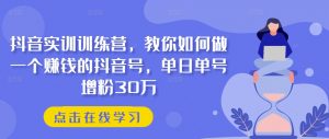 抖音实训训练营,教你如何做一个赚钱的抖音号,单日单号增粉30万-开心分享网