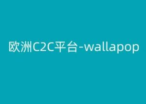 欧洲C2C平台-wallapop-kim跨境电商教程-开心分享网