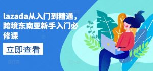 lazada从入门到精通,跨境东南亚新手入门必修课-开心分享网