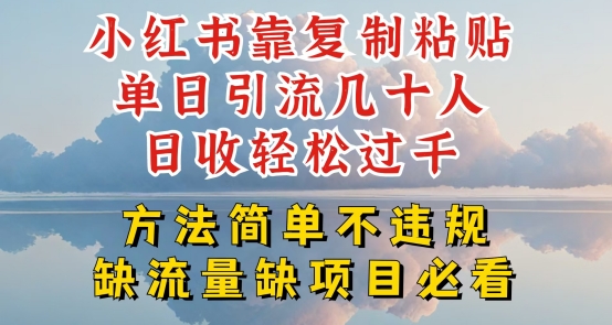 小红书靠复制粘贴单日引流几十人目收轻松过千,方法简单不违规【揭秘】-开心分享网